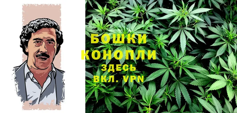 МАРИХУАНА White Widow  как найти закладки  Новочебоксарск 